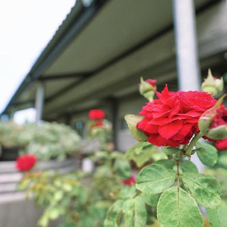 Taitung City-Cottage B&B المظهر الخارجي الصورة