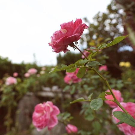 Taitung City-Cottage B&B المظهر الخارجي الصورة